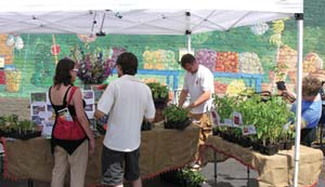 Green Neighborhoods: America's Top 10 Best Eco-Neighborhoods Image